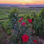 L'effervescent Reims