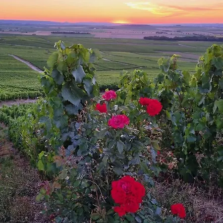 L'effervescent Reims