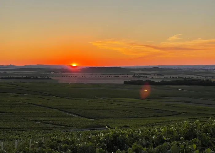 L'effervescent Reims