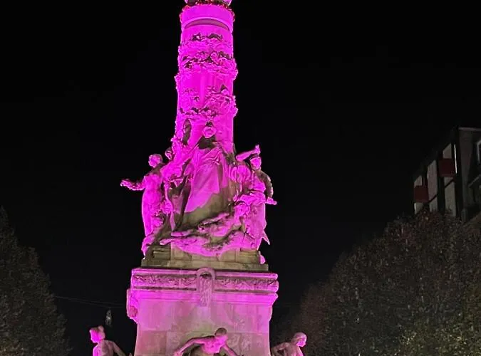 L'effervescent Apartment Reims